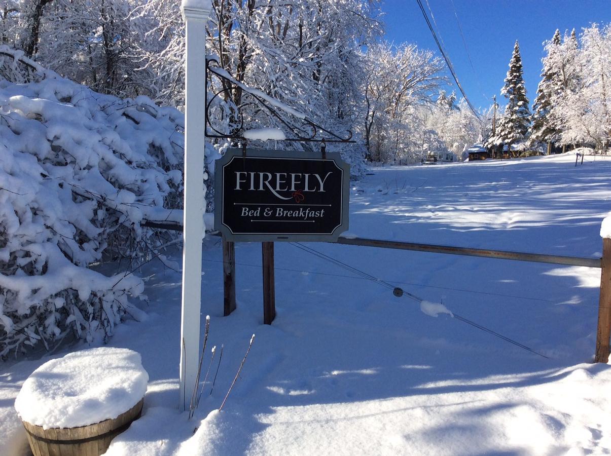 Firefly Bed & BreakfastLincoln エクステリア 写真